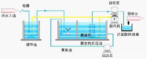 黄色看片APP下载设备 黄色看片APP下载设备